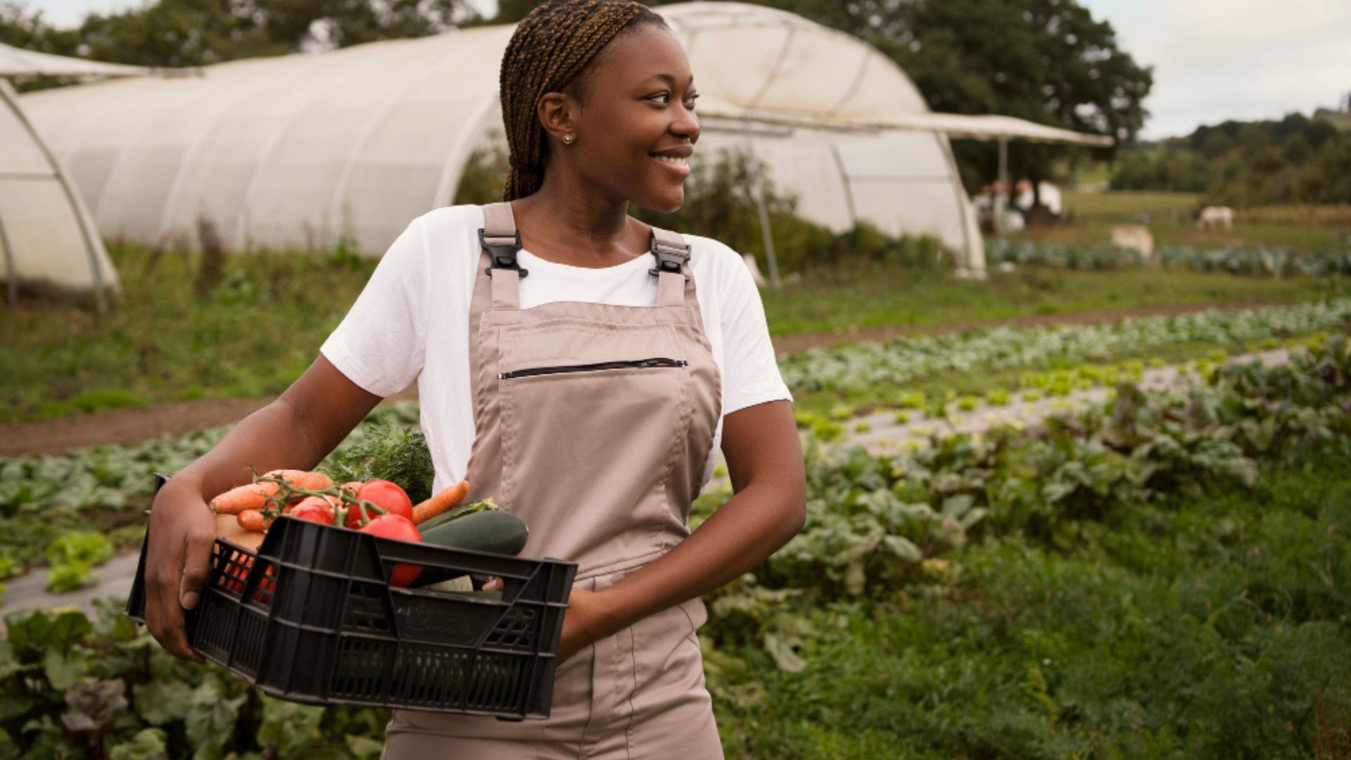 Agricultural Import & Export